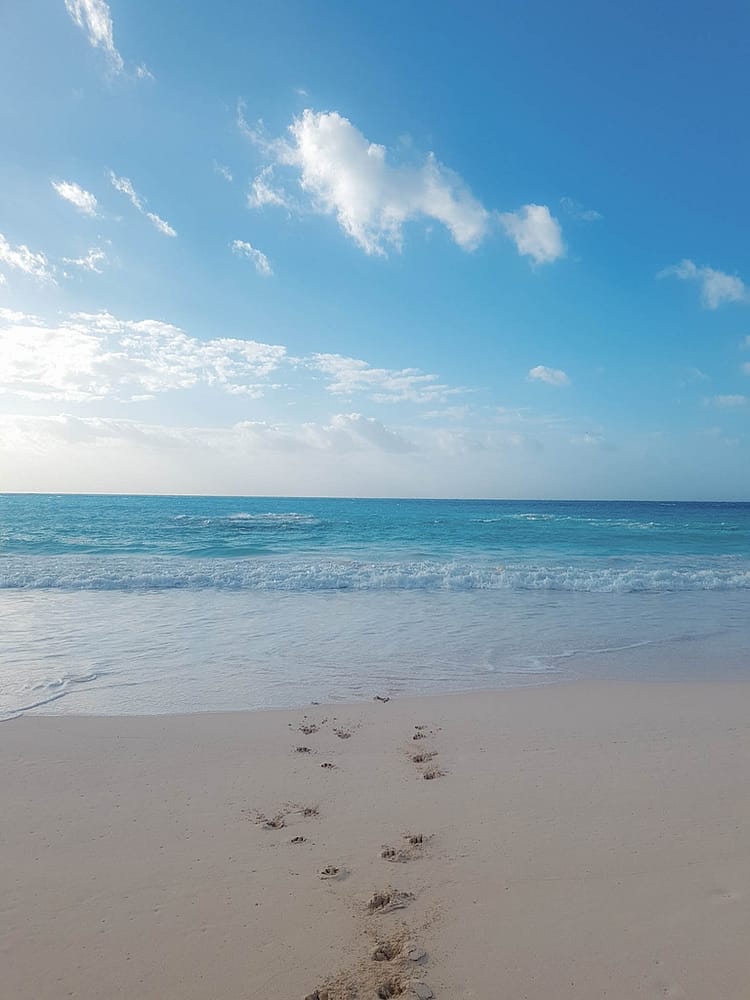 Footprints in sand leading into the sea at Horseshoe Bay beach, Bermuda. Sunny blue sky.