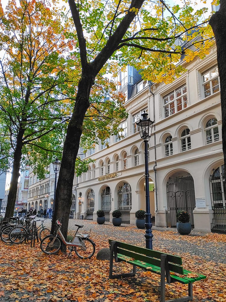 Paved stone pedestrian street with beautiful white building with impressive facade (Peters Brauhaus). Pretty black street lamps line the street as well as trees with autumn colored leaves. Brown leaves cover the much of the street with a green bench and bicycles in the frame too.