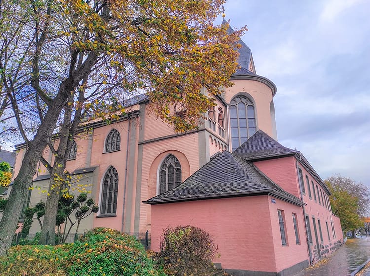 Beautiful architecture/gothic exterior of salmon/pink and peach colored church St Maria Lyskirchen, Cologne. Brown and yellow Autumn leaves on a tree covering part of the church.
